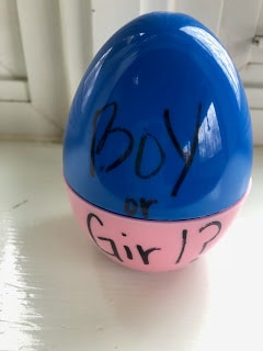 boy or girl egg