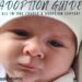 adoption guide