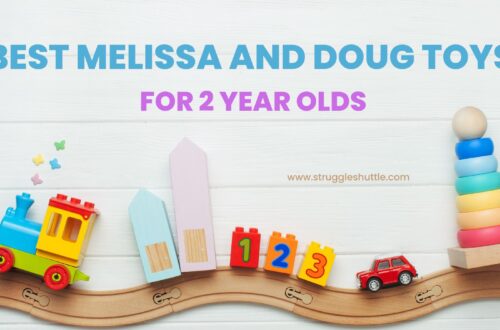 best Melissa and Doug toys for 2 year old